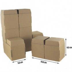 CLEOPATRE Lot de 196 briques cartons à monter soit même. Construisez, décorez et créez.