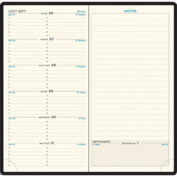 EXACOMPTA Semainier poche ESPACE 17,Janvier à Décembre 2025, note, 17,5x9cm, couv Barbara PVC assor