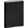 EXACOMPTA Journalier Planifiée 21,Janvier à Décembre 2025 - 21x13,5cm couverture PVC Noire