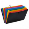 VIQUEL Valise trieur RAINBOW 12 compartiments, en polypro 10/10e, Noir intérieur multicolore