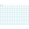 ART PLUS Carte première écriture, double ligne. En polypro 5/10è effaçable à sec format 70x100cm