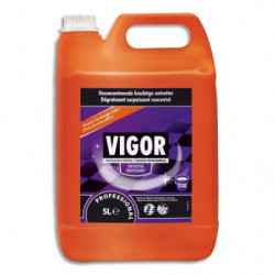 VIGOR Bidon de 5 Litres Nettoyant Détergent surpuissant dégraissant concentré PH11
