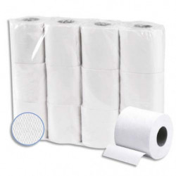 Colis de 48 rouleaux de Papier toilette Extra ouate Blanche recyclée 2 plis, 200 feuilles 247245R