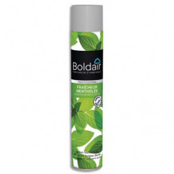BOLDAIR Désodorisant d'atmosphère 500 ml parfum Fraîcheur mentholée Professional