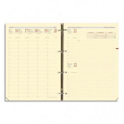 QUO VADIS Recharge Timer format 29, Septembre à Décembre 2025 à la verticale papier Ivoire