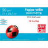 PLEIN CIEL Pochette de 12 feuilles papier millimétré 90g format 21x29,7cm