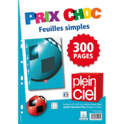 PLEIN CIEL Lot de 300 pages copies simples format A4 grands carreaux Seyès 90g perforées.
