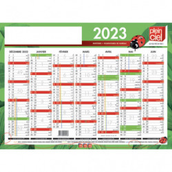 PLEIN CIEL Calendrier bancaire, 7 mois par face soit 14 mois - format : 40,5 x 55 cm