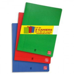 PLEIN CIEL Lot de 3 cahiers piqûre PP 96 pages 90g 24x32cm grands carreaux Seyès. Coloris assortis Fun