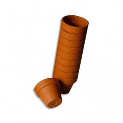 GRAINE CREATIVE Pot de...