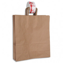 GPV Paquet de 20 sacs à anse torsadée kraft brun 100gr/m². Format 45x40x16cm (L) FSC-M