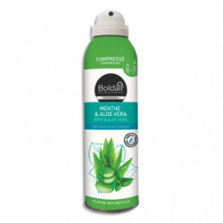 BOLDAIR Aérosol compressé de 250 ml destructeur d'odeurs superficie de 20 m² menthe aloé vera.