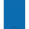 CONQUERANT C9 Cahier piqûre 24x32cm 48 pages 90g grands carreaux Seyès. Couverture polypropylène Bleu