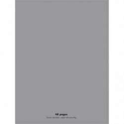 Cahier piqûre 24x32cm 48 pages 90g grands carreaux Seyès. Couverture polypropylène Gris