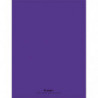 CONQUERANT C9 Cahier piqûre 24x32cm 48 pages 90g grands carreaux Seyès. Couverture polypropylène Violet