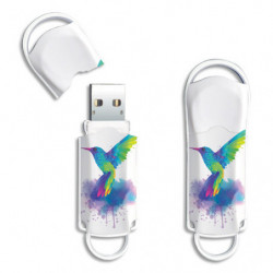 INTEGRAL Clé USB 2.0 32GB Xpression Colibri INFD32GBXPRFLAMINGO