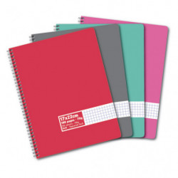 Cahier spirale 17x22cm 180 pages 60g petits carreaux 5x5. Couverture carte assortie