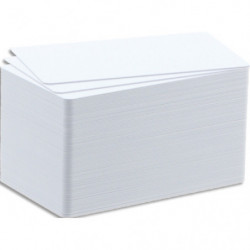 EVOLIS Badgy Pack de 100 cartes papier pour Badgy 100&#47;200, épaisseur 0,76mm - 30 mil