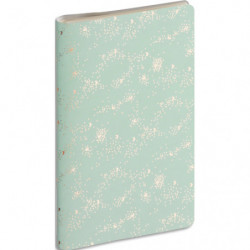 EXACOMPTA Semainier de poche SAD 16S Méline, Septembre à Décembre 2025 9x16 cm. Couv soudée coloris ass