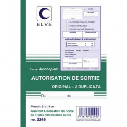 ELVE Manifold autocopiant...