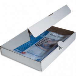 EXACOMPTA Boîte de 100 pochettes perforées A4 en polypropylène lisse 9&#47;100e cristal