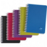 CLAIREFONTAINE Carnet spirale LINICOLOR polypropylène 100 pages 9x14cm 5x5. Coloris assortis Intensive