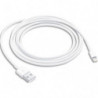 APPLE C&acirc;ble lightning 2 m blanc - C&acirc;ble de données &#47; charge pour iPad &#47; iPhone &#47; iPod