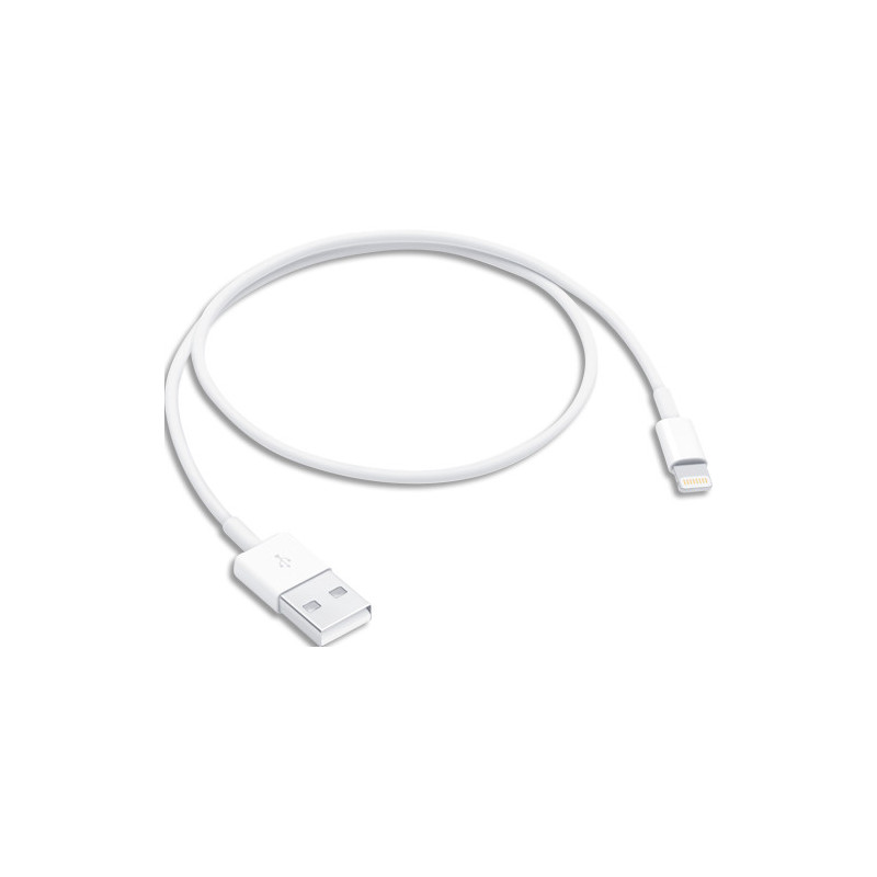 APPLE C&acirc;ble lightning 50 cm - C&acirc;ble de données &#47; charge pour iPad &#47; iPhone &#47; iPod