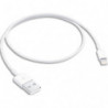 APPLE C&acirc;ble lightning 50 cm - C&acirc;ble de données &#47; charge pour iPad &#47; iPhone &#47; iPod
