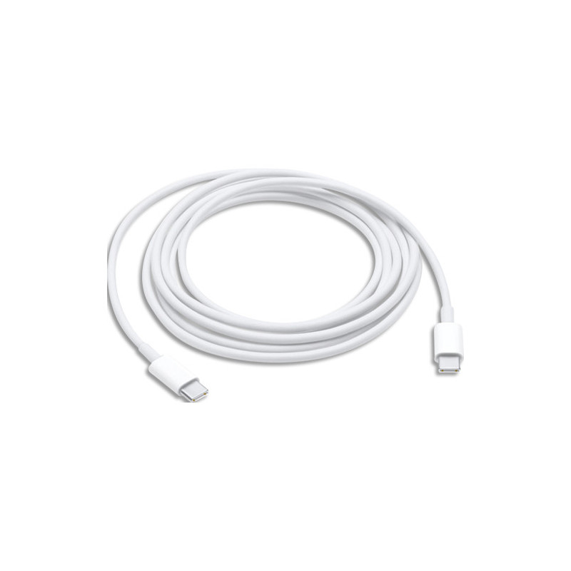 APPLE C&acirc;ble alimentation 2 m idéal&#47;recharger, synchroniser appareils USB?C et transfert des données