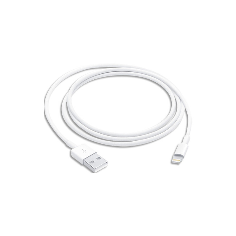 APPLE C&acirc;ble Lightning - Lightning &#47; USB - 1 m Téléphone cellulaire, tablette, lecteur numérique