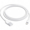 APPLE C&acirc;ble Lightning - Lightning &#47; USB - 1 m Téléphone cellulaire, tablette, lecteur numérique