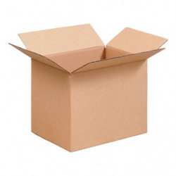 MASTER&#39;IN Caisse américaine simple cannelure testliner 350 mm x 230 mm x 250 mm