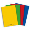 Cahier spirale 21x29,7cm 100 pages petits carreaux 5x5 90g. Couverture polypro assortie