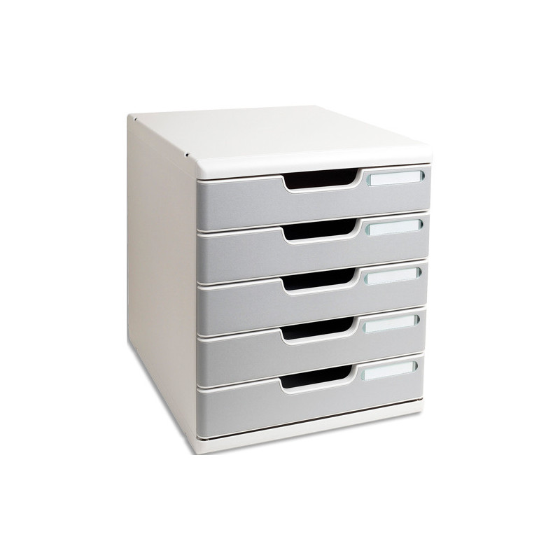 EXACOMPTA Module de classement Modulo 5 tiroirs. Dimensions (lxhxp) : 28,8x32x35 cm. Gris Lumière/Granit