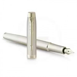 PARKER Stylo plume IM...