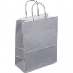 Paquet de 50 sacs kraft argent poignées torsadées 230 + 120 x 300 mm