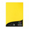 CLAIREFONTAINE Etui de 50 feuilles 120g POLLEN 21x29,7cm. Coloris Jaune soleil