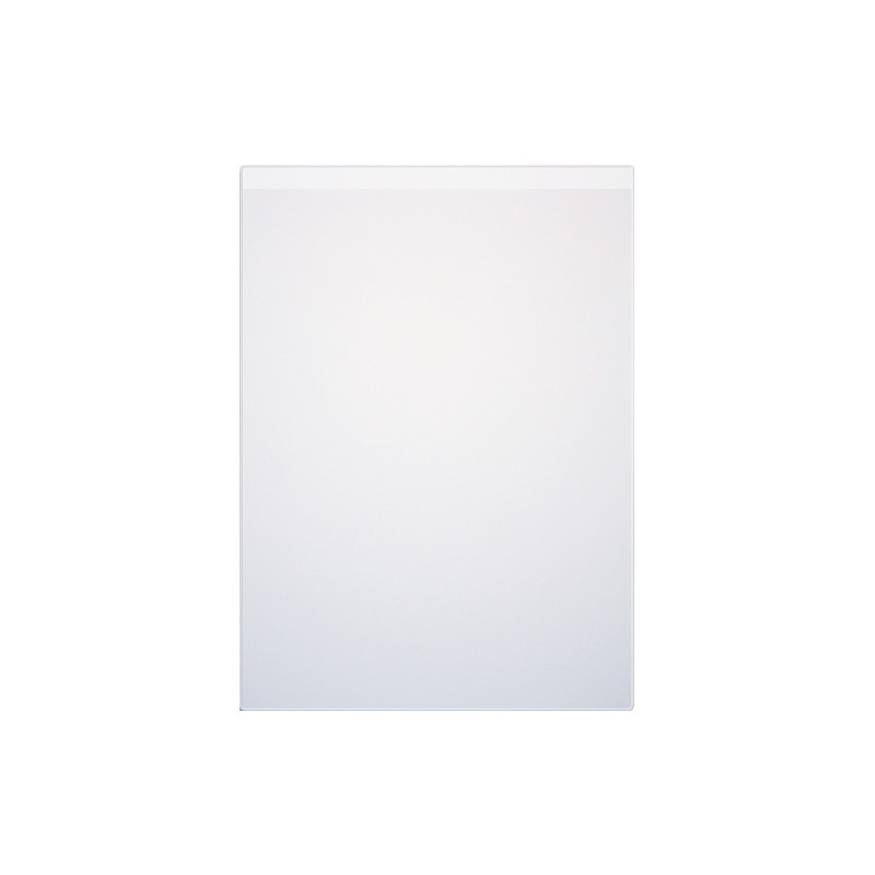 OXFORD Etui 2 faces en PVC 15&#47;100eme. Format A4 21x29,7cm. Coloris transparent