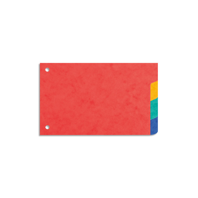 EXACOMPTA Jeu d&#39;intercalaires 4 positions en carte lustrée 3&#47;10e format 10x15 cm 225g
