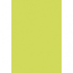 CLAIREFONTAINE Etui de 50...