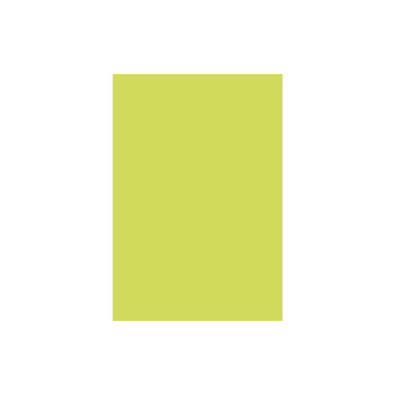 CLAIREFONTAINE Etui de 50 feuilles 120g POLLEN 21x29,7cm. Coloris Vert bourgeon
