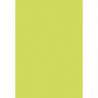 CLAIREFONTAINE Etui de 50 feuilles 120g POLLEN 21x29,7cm. Coloris Vert bourgeon