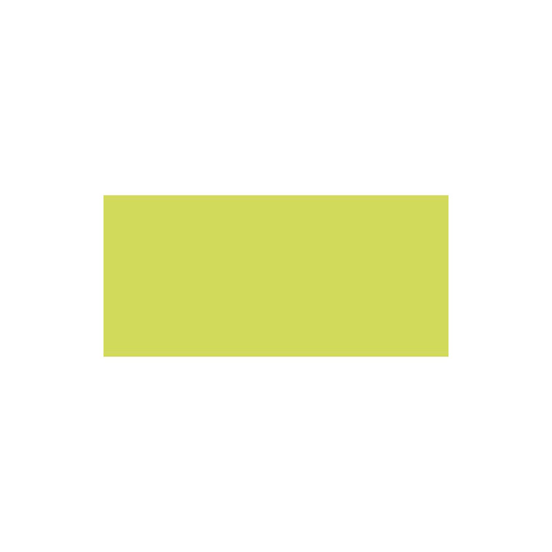CLAIREFONTAINE Paquet de 25 cartes 210g POLLEN 10,6x21,3cm. Coloris Vert bourgeon