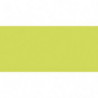 CLAIREFONTAINE Paquet de 25 cartes 210g POLLEN 10,6x21,3cm. Coloris Vert bourgeon