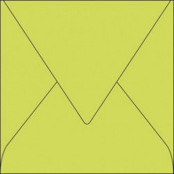 CLAIREFONTAINE Paquet de 20...