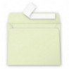CLAIREFONTAINE Paquet de 20 enveloppes 120g POLLEN 9x14cm. Coloris Vert bourgeon