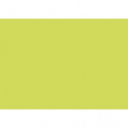 CLAIREFONTAINE Paquet de 25...