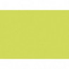 CLAIREFONTAINE Paquet de 25 Cartes Pollen 11x15,5cm Vert bourgeon