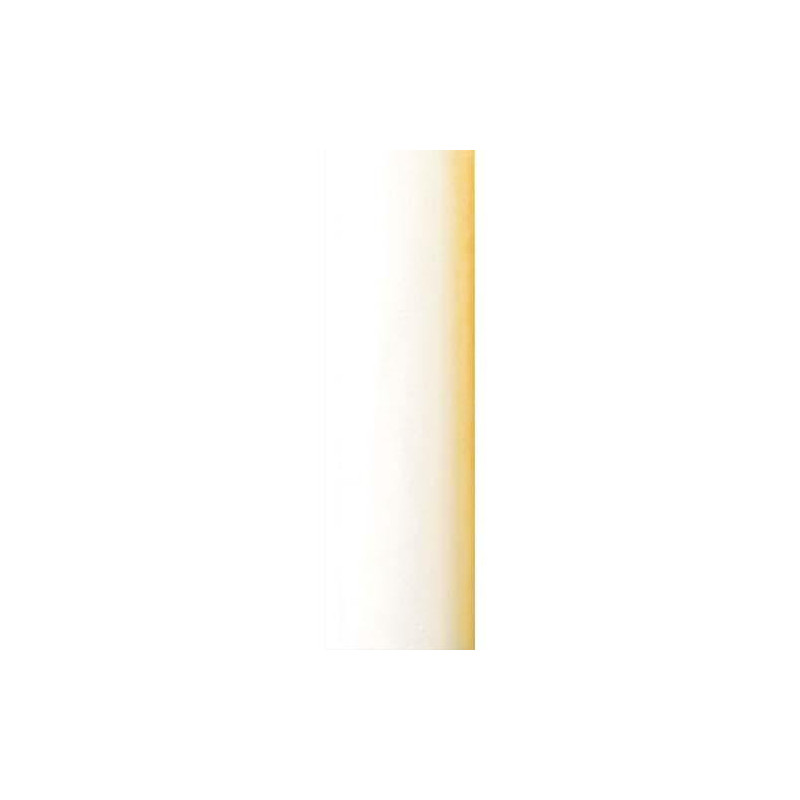 CLAIREFONTAINE Rouleau de papier Kraft couleur 65g. Format 10x0,7m. Coloris Blanc